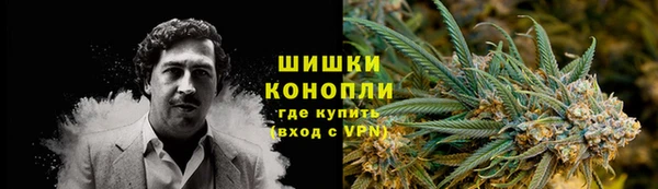 ешки Пересвет