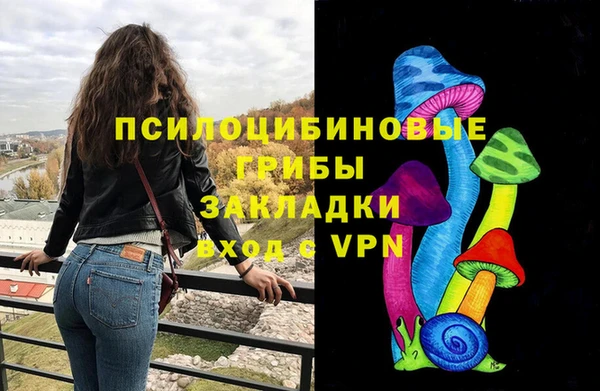 твердый Осинники