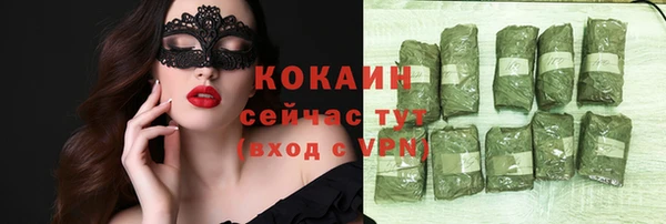 ешки Пересвет