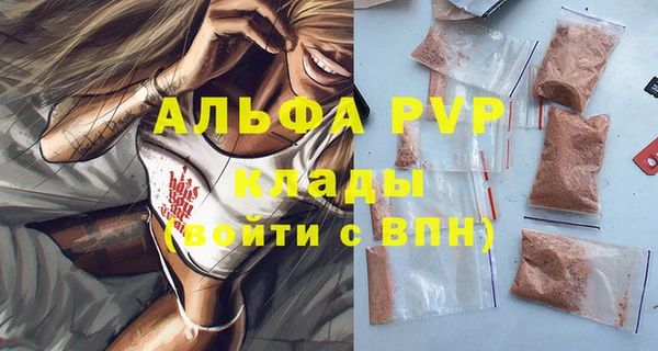 ешки Пересвет