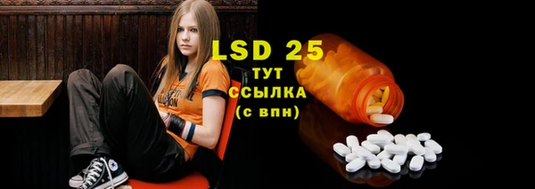 ешки Пересвет