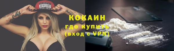 твердый Осинники