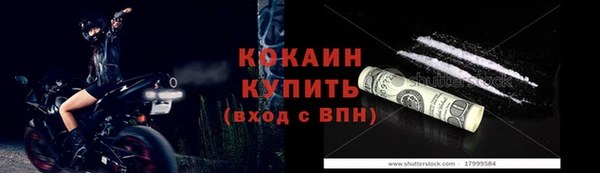твердый Осинники