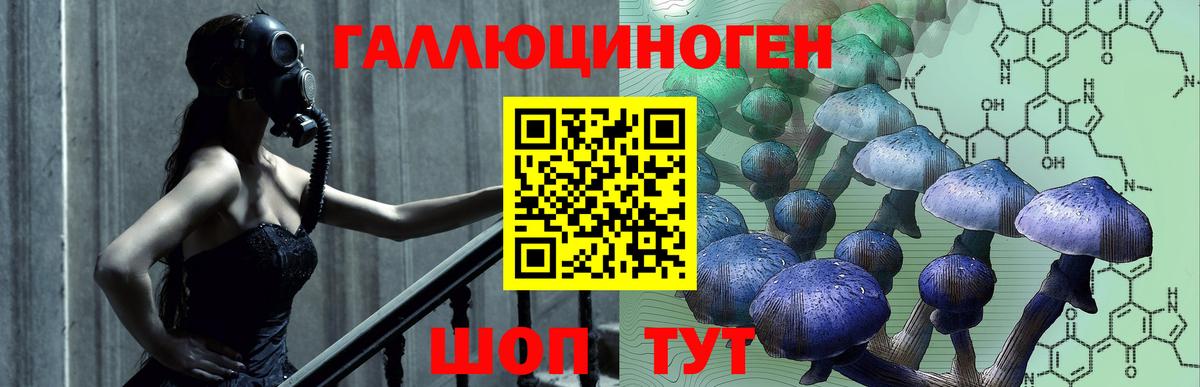 Псилоцибиновые грибы прущие грибы  Вход с VPN  Галлюциногенные грибы прущие грибы  Саки 
