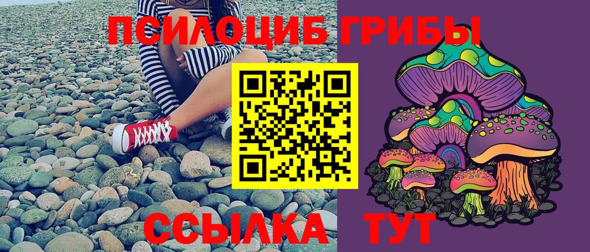 Галлюциногенные грибы GOLDEN TEACHER Саки