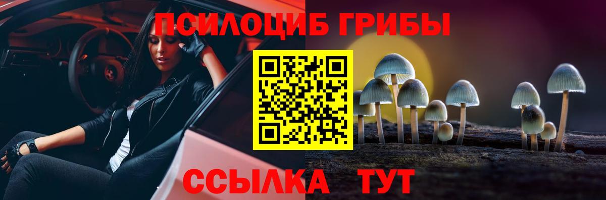 Псилоцибиновые грибы Cubensis  Саки  купить закладку  Псилоцибиновые грибы Cubensis 